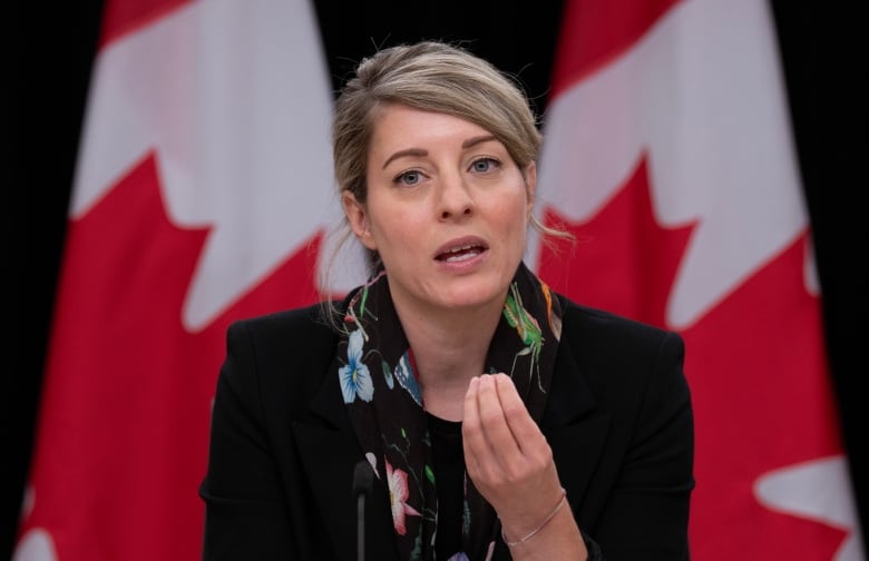 A womany in a black blazer and flowery shawl speaks at a press conference in front of two Canadian flags.