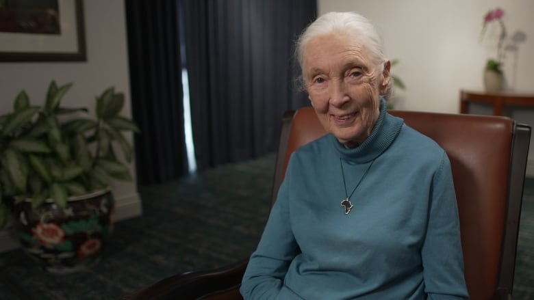 Jane Goodall, 89, poses for the camera wearing a blue turtleneck and necklace in the shape of Africa